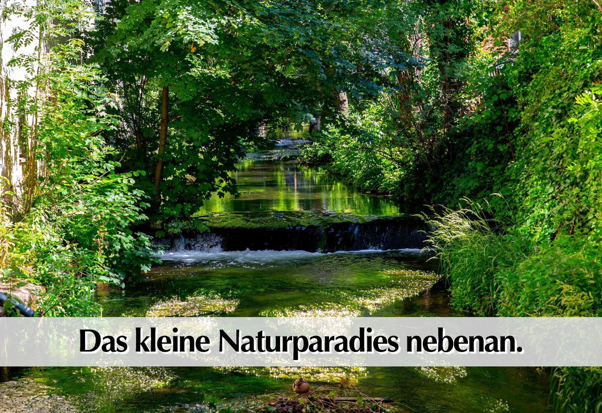 Stadtperle Am Plaetschernden Wasser - 50M2 2R Malerische Fewo In Top Lage Ερφούρτη Εξωτερικό φωτογραφία
